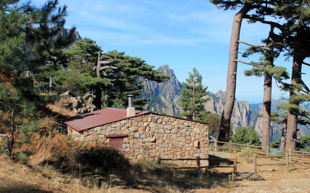 Alquilar sin licencia turística. Riesgos y consecuencias