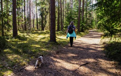 Como hacer el Camino de Santiago con mi perro