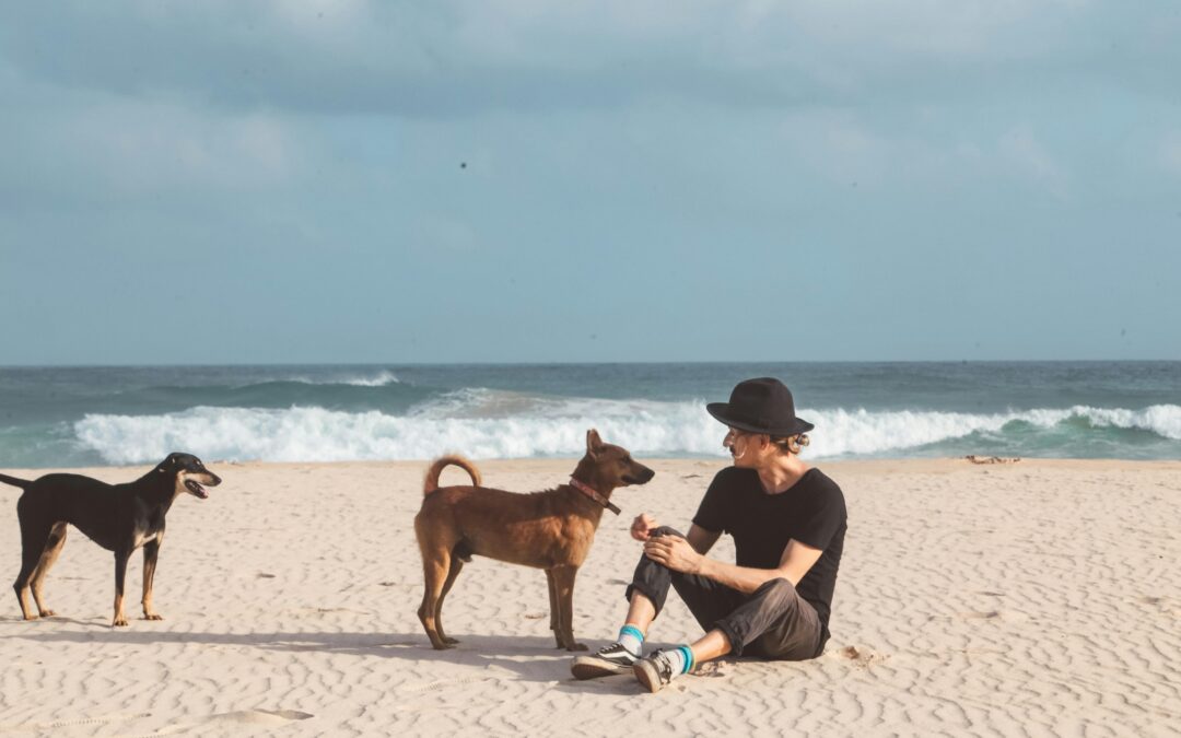 Playas para perros en Cantabria 2024